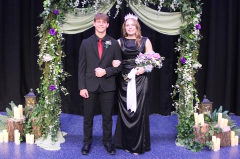 Article Image Alt Text