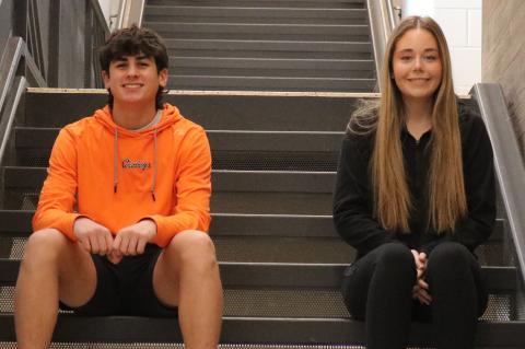 Article Image Alt Text