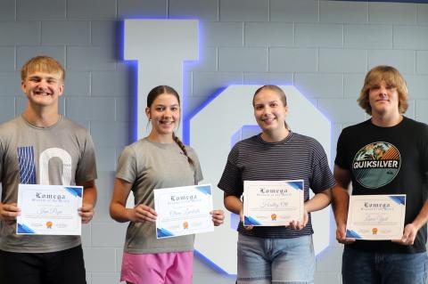 Article Image Alt Text