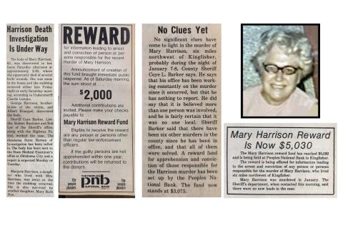 Article Image Alt Text