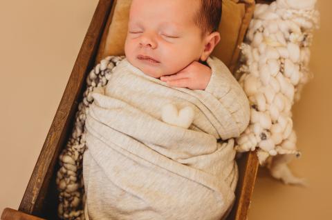 Article Image Alt Text