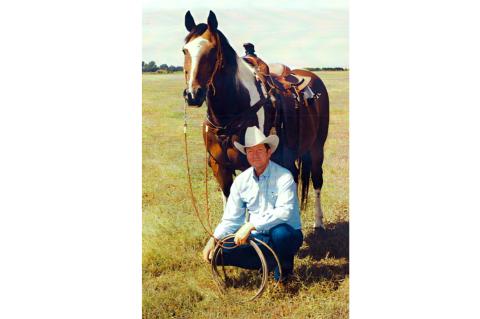 Article Image Alt Text