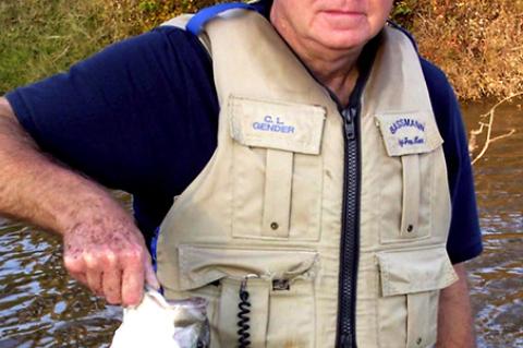 Article Image Alt Text