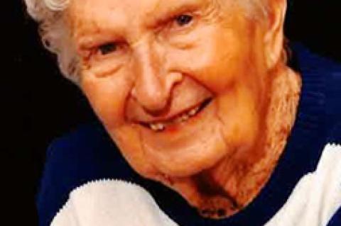 Article Image Alt Text