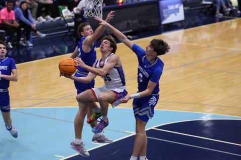 Article Image Alt Text