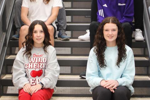 Article Image Alt Text