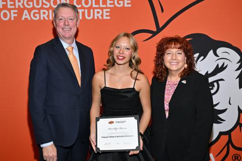 Article Image Alt Text