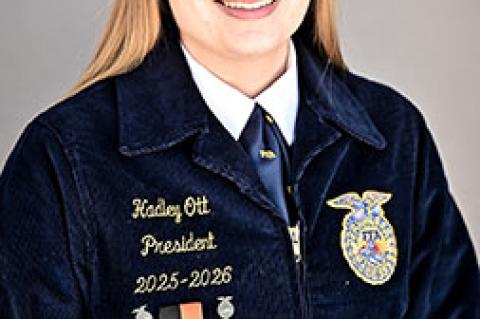 Article Image Alt Text