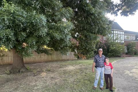 Article Image Alt Text