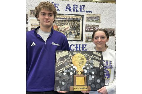 Article Image Alt Text