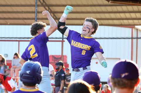 Article Image Alt Text