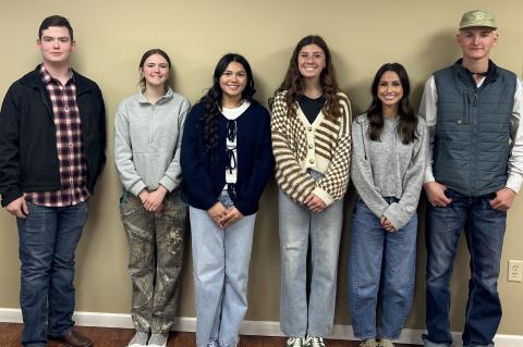 Article Image Alt Text