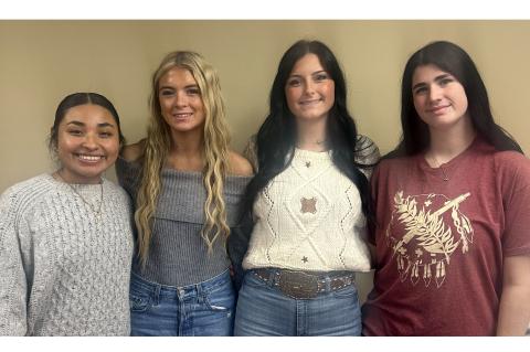 Article Image Alt Text