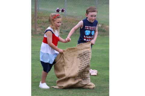 Article Image Alt Text