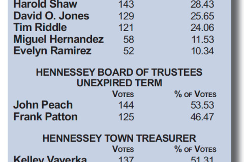 Article Image Alt Text