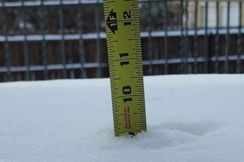 Article Image Alt Text