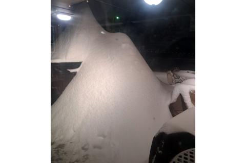 Article Image Alt Text