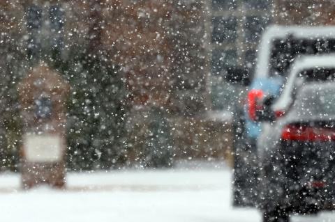 Article Image Alt Text