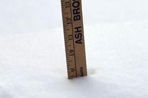 Article Image Alt Text