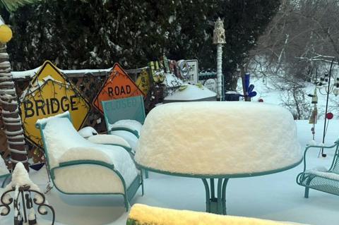 Article Image Alt Text