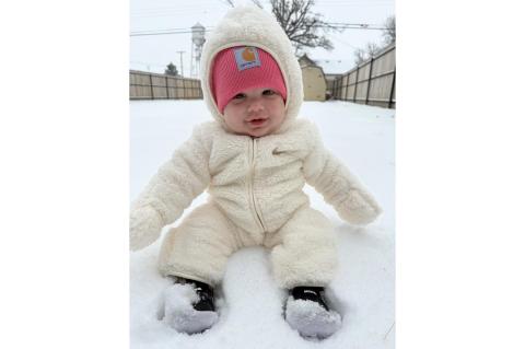 Article Image Alt Text