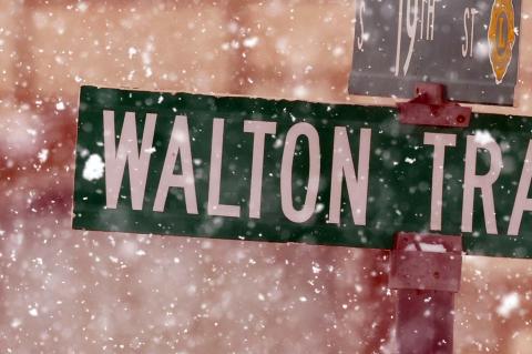 Article Image Alt Text