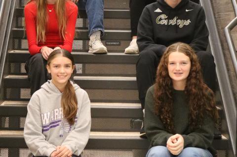 Article Image Alt Text