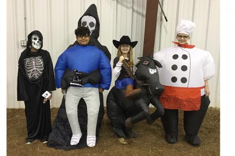 Article Image Alt Text