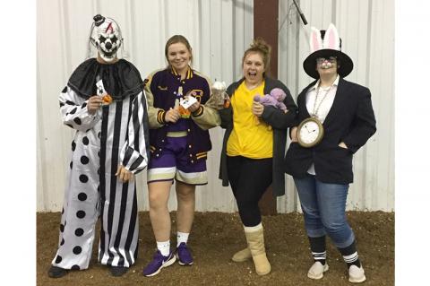 Article Image Alt Text