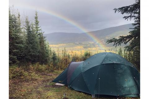 Article Image Alt Text