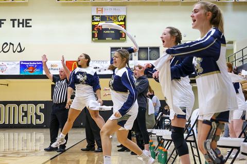 Article Image Alt Text