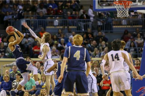 Article Image Alt Text