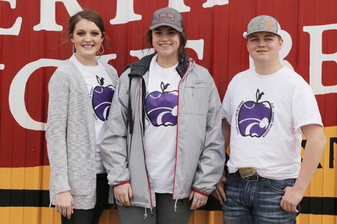 Article Image Alt Text