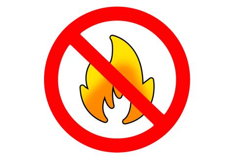 Article Image Alt Text