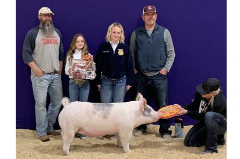 Article Image Alt Text