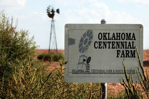 Article Image Alt Text