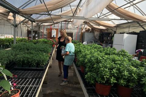 Article Image Alt Text