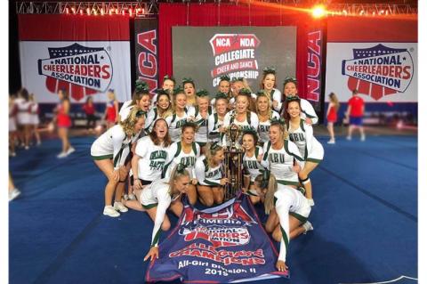 Article Image Alt Text