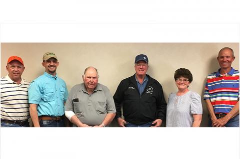 Article Image Alt Text