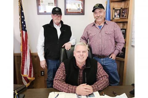 Article Image Alt Text