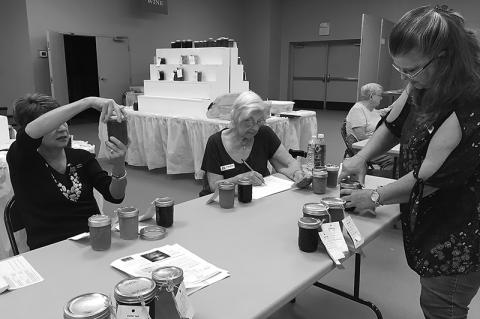 Article Image Alt Text