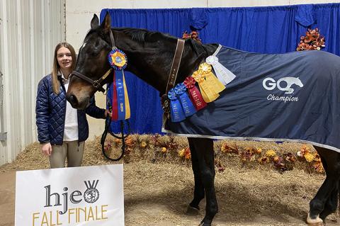 Article Image Alt Text