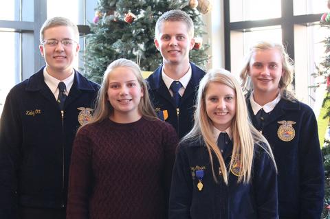 Article Image Alt Text