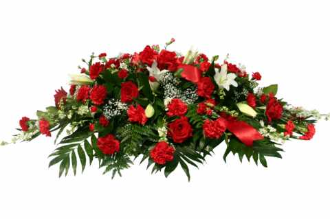 Article Image Alt Text