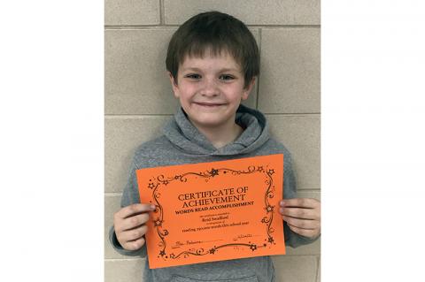 Article Image Alt Text