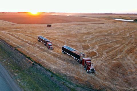 Article Image Alt Text