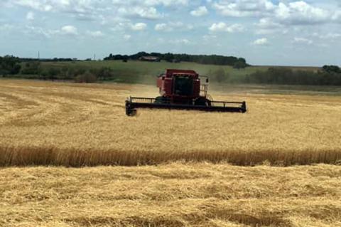 Article Image Alt Text