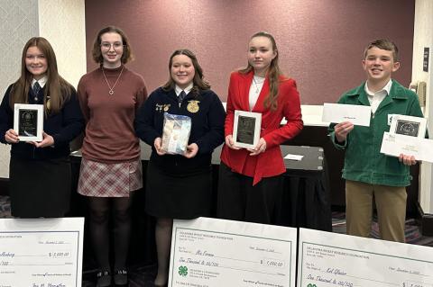 Article Image Alt Text