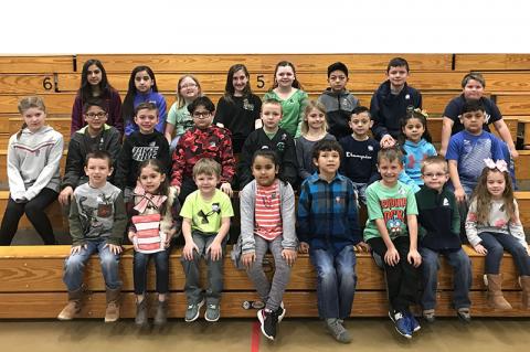 Article Image Alt Text