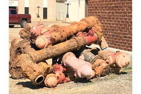 Article Image Alt Text